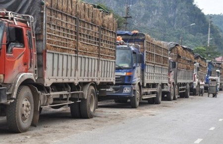 Dau thang 1/2015, cuoc van tai, taxi dong loat giam hinh anh