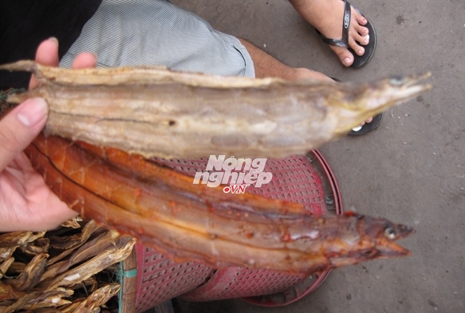 Lo ngai ca kho tam mau hinh anh