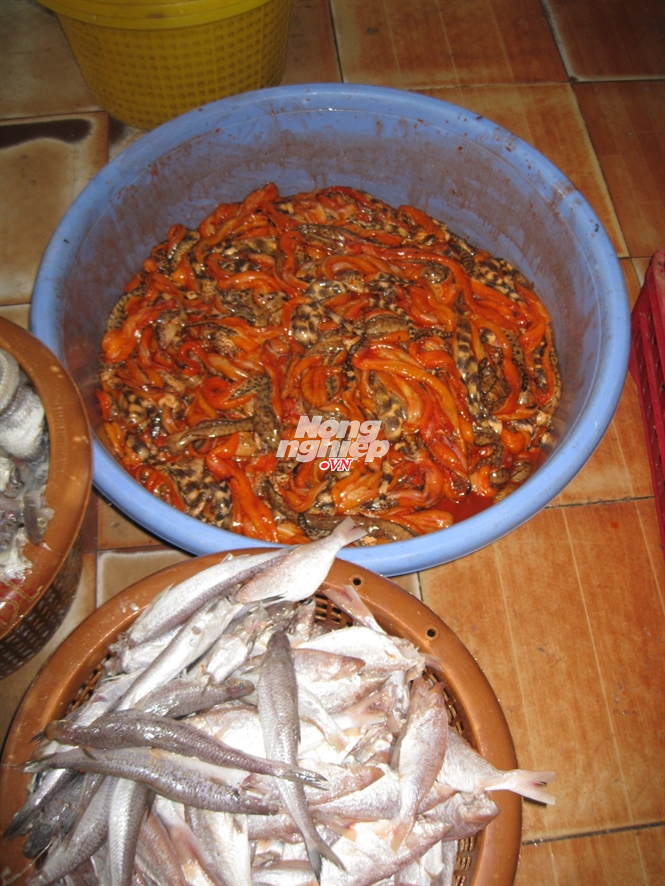 Cá lịch được tẩm màu và gia vị trước khi đem phơi khô, giá bán 80 ngàn/kg... Đọc thêm tại: http://nongnghiep.vn/lo-ngai-ca-kho-tam-mau-post136838.html | NongNghiep.vn