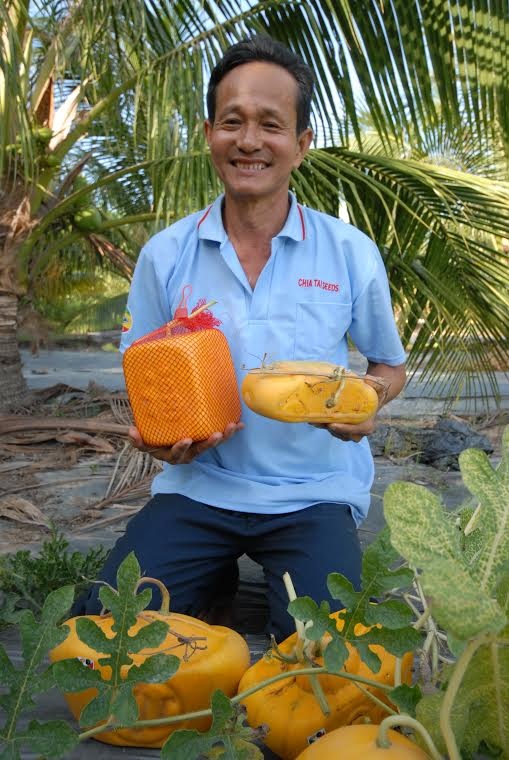 Dưa hấu hình thỏi vàng. Ảnh Ngọc Trinh.