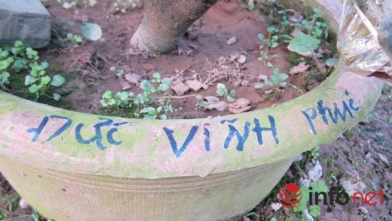 Rút kinh nghiệm từ năm ngoái, năm nay ông không treo biển vào cây mà viết tên lên chậu đánh dấu những cây đã có khách đặt. Nguyên nhân là do có trường hợp khách hàng đến sau vì thích cây quá mà tháo luôn biển đánh dấu cây đã đặt của khách trước đó. Thời điểm hiện tại nhiều chậu cây đã được đánh dấu tên.