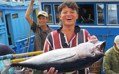 Dang sau cau chuyen ve lo ca ngu dau tien sang Nhat Ban hinh anh