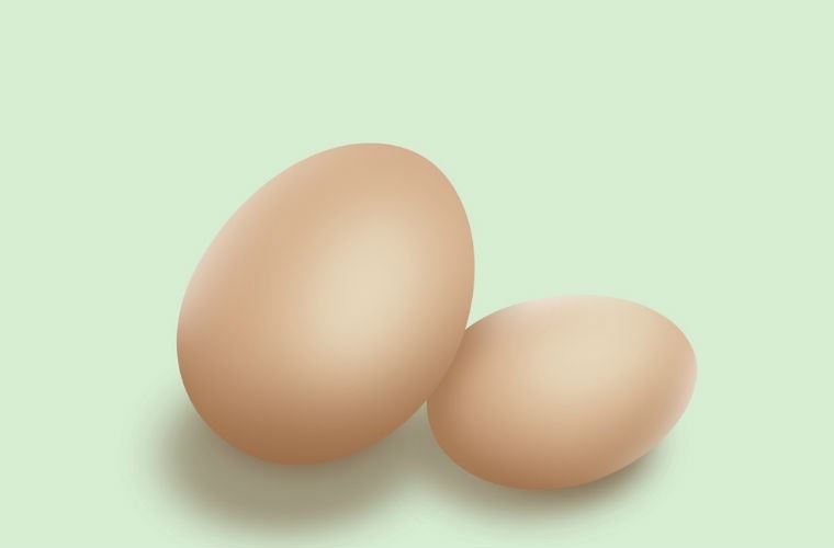 Trứng là một nguồn cung cấp protein tuyệt vời. Protein trong trứng rất toàn diện, chứa tất cả các axit amin thiết yếu cho cơ thể con người.