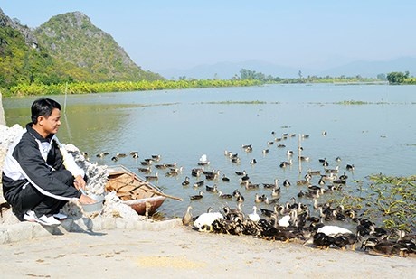 Nuoi vit troi - kiem hang tram trieu tu 'nghe anh ngoc' hinh anh