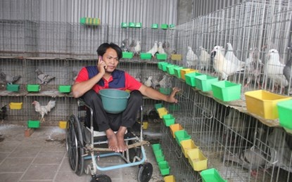 Anh Đỗ Văn Kỳ giờ bận rộn với đàn bồ câu Pháp.