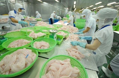 My tiep tuc ap thue chong ban pha gia ca tra Viet Nam hinh anh