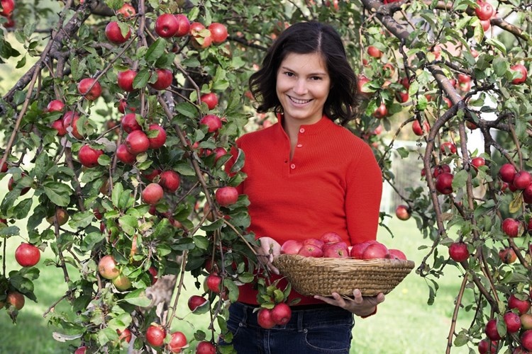 Vuon tao ruot do doc dao co gia gan 13 bang Anh moi cay hinh anh