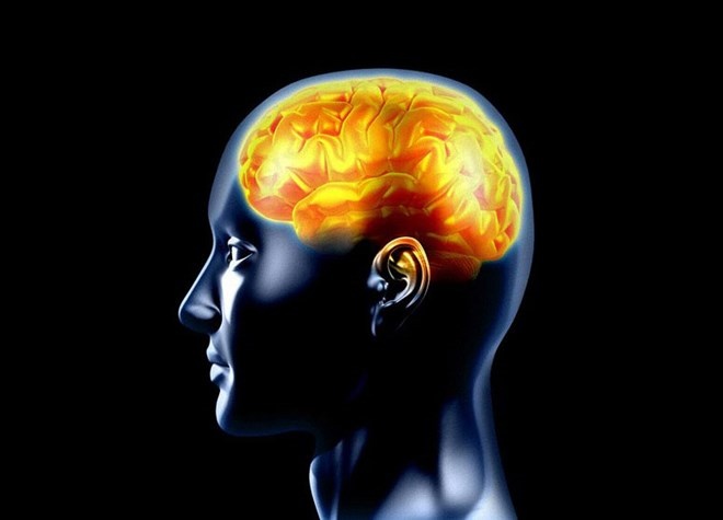 Vi sao dong kinh co the gay dot tu? hinh anh