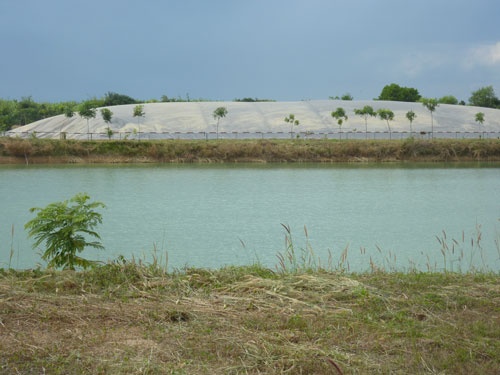 Chất thải được đưa vào hệ thống biogas.