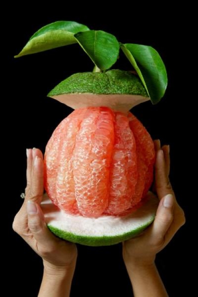 Bởi vì nó giúp sửa chữa hư hỏng DNA trong các tế bào tuyến tiền liệt của con người.