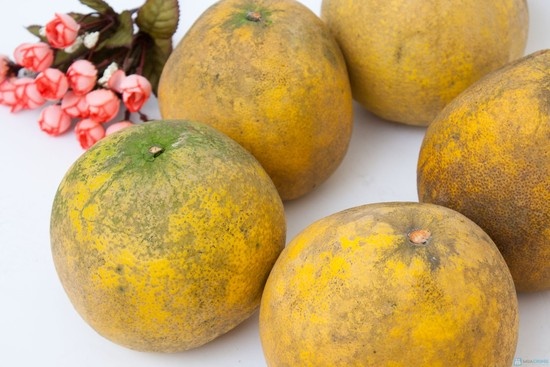 Trong những quả bưởi màu đỏ còn có lycopene một chất chống oxy hoá khác. 