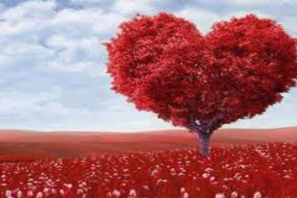 Điều này được quyết định do tỷ lệ cơ bắp và trọng lượng cơ thể của bạn. Tỷ lệ này đánh giá khả năng của một người có giữ được cân bằng hay vận động linh hoạt hay không. Nếu bạn tự cân bằng được trong lực cơ thể, có nghĩa khả năng sống trên đời của bạn càng cao.