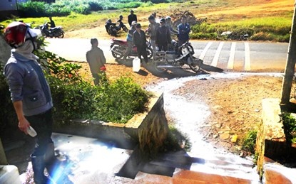 Nong dan do bo sua: DN va nha nong phai cam ket chat che hon hinh anh