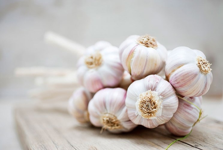 Tỏi. Ngoài các chất chống oxy hóa có tác dụng hạn chế sự hình thành các gốc tự do gây hại, tỏi còn chứa nhiều sulfua alylic, có tính kháng nấm, chống ký sinh trùng…