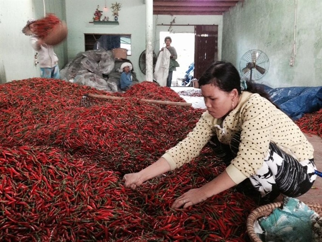 Ot mat mua, mat gia hinh anh