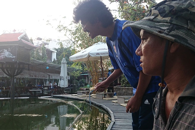 Cau tom cang xanh gia beo o Can Tho hinh anh