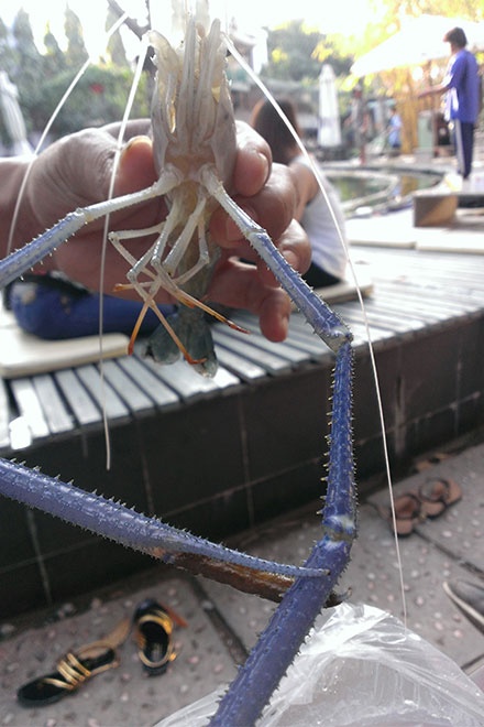 Tại đây, tôm dính câu khách được mang về, không phải trả thêm tiền.