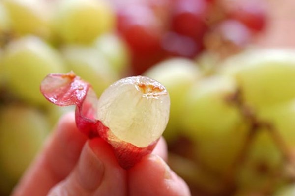 Nho. Trong vỏ quả nho có chất resveratrol dồi dào tác dụng cho việc kháng khuẩn, chống nấm mốc và nhiễm trùng ở trẻ. Ngoài ra, vỏ của loại quả này còn có tác dụng giảm nồng độ triglycerit và cholesteron trong máu, ức chế mầm mống ung thư.