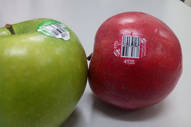 Tao My gay ung thu van dat khach hinh anh