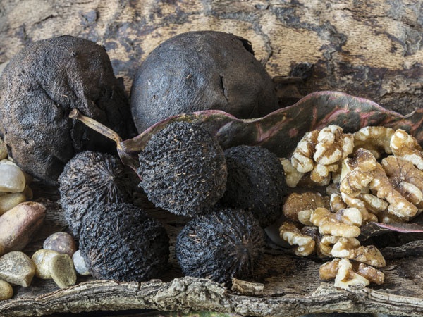 Quả óc chó khô: Có tác dụng nhuận tràng, giúp sử loại bỏ ký sinh trùng ra khỏi cơ thể. Tuy nhiên nên hỏi ý kiến của các chuyên gia, bác sĩ khi sử dụng.