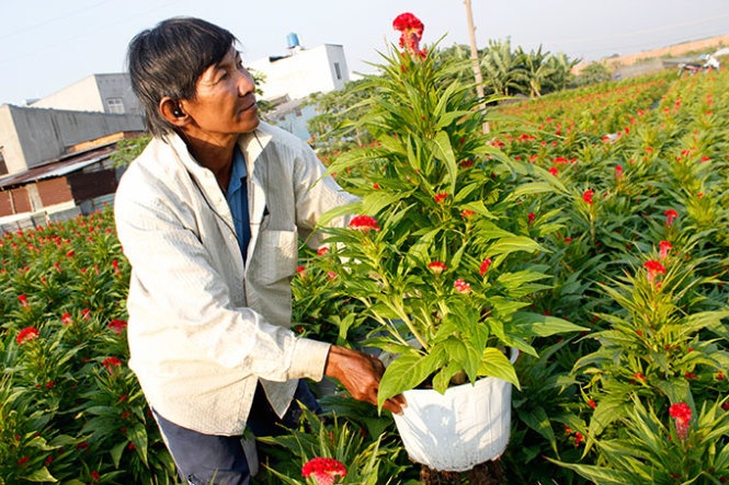 Thoi tiet lam kho nha vuon trong hoa hinh anh