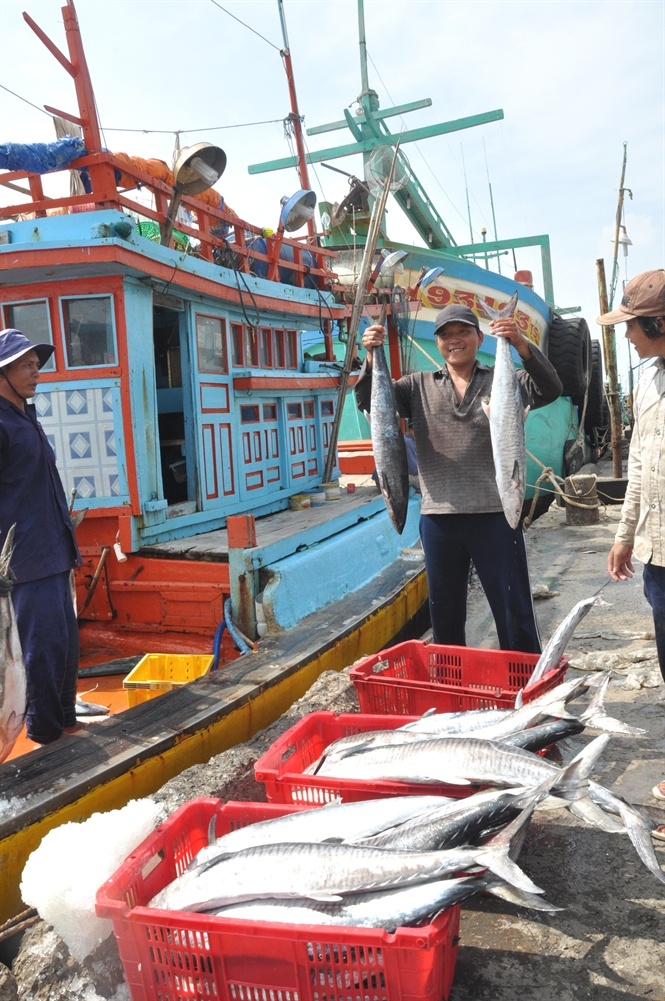 Ngư dân Bạc Liêu trúng chuyến biển đầu năm... Đọc thêm tại: http://nongnghiep.vn/loc-bien-dau-nam-post138057.html | NongNghiep.vn