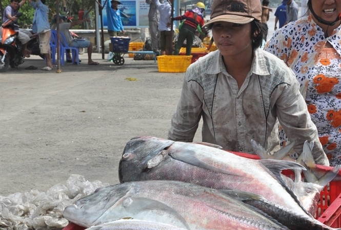 Loc bien dau nam hinh anh