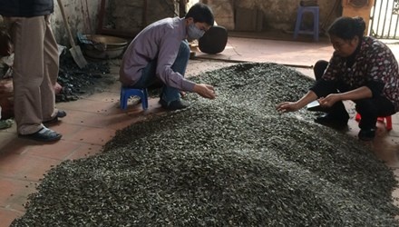 Dot nhap lang banh keo sieu re giua Ha Noi hinh anh