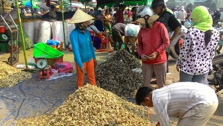 Gia thuc pham ruc rich tang hinh anh