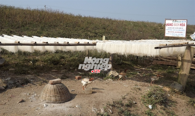 Mien gao tam bui, hit phan ga hinh anh