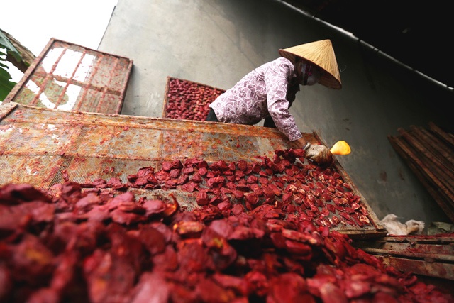 Cơ sở của chị Huệ tạo công ăn việc làm cho hơn 20 lao động thường xuyên, có lúc lên tới gần 100 người làm. Lương lao động dao động 100-150 nghìn/ngày tùy công việc bóc tách nguyên liệu hay trông lò. 