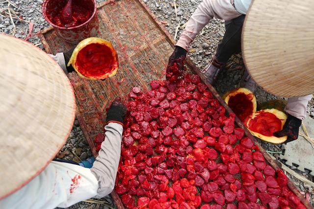 Trong tiết se lạnh, thứ sắc màu ấy làm ấm lên không gian xam xám của mùa đông, nhuộm hồng những bức tường, khoảng sân, đôi bàn tay của cô thợ...  Sắc màu của mùa gấc chín gợi nhớ tới mâm cỗ ngày tết, màu của phong bao mừng tuổi, màu của tràng pháo hồng ngày nào... 