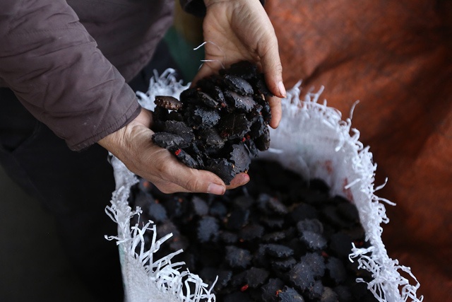 Hạt gấc được thương lái Trung Quốc thu mua.