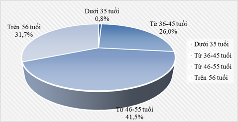 Cơ cấu CEO doanh nghiệp lớn theo độ tuổi trong Bảng xếp hạng VNR500 năm 2014.