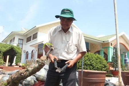 Nong dan nhieu dat nhat mien Tay: Huy mia, Huy ot, Huy bo hinh anh