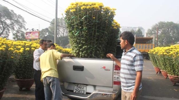 Buc xuc vi khong thue duoc mat bang ban hoa Tet hinh anh