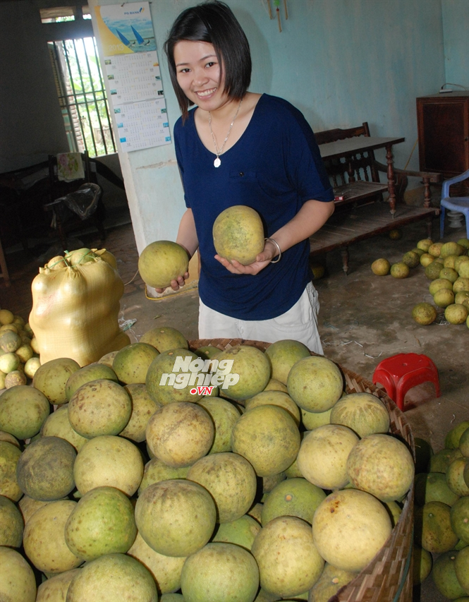 Bưởi gia đình ông Nguyễn Tiến Dũng chờ người đến bán... Đọc thêm tại: http://nongnghiep.vn/xa-thu-30-ty-tu-buoi-post138225.html | NongNghiep.vn