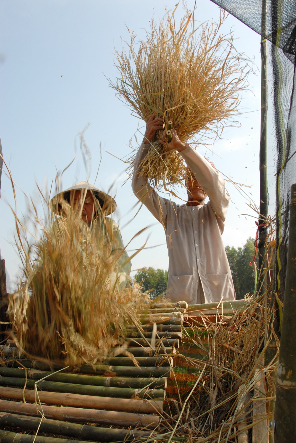 Ngoài phát triển giống lúa mùa nổi, tỉnh này còn lòng ghép phát triển du lịch sinh thái nông nghiệp nhằm nâng giá trị kinh tế đối với đất vùng sâu khắc nghiệt.