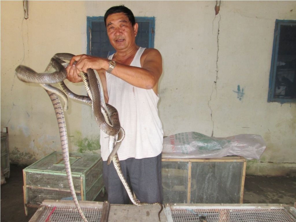 Trung Quoc ngung mua, nong dan mien Tay lao dao vi ran hinh anh