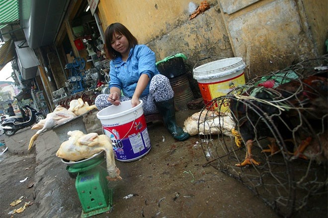 Khong kiem soat duoc giet mo, thuc pham ban den thang cho hinh anh