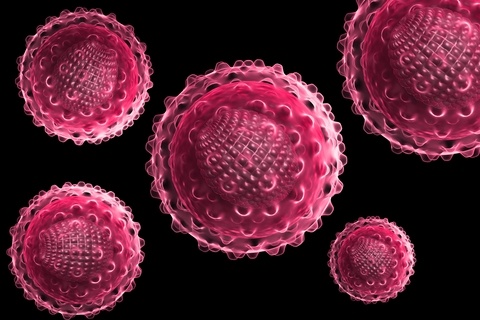 Một khách hàng đã nhiễm chủng virus viêm gan A sau khi dùng bữa tại nhà hàng. Ảnh: Food Safety News.
