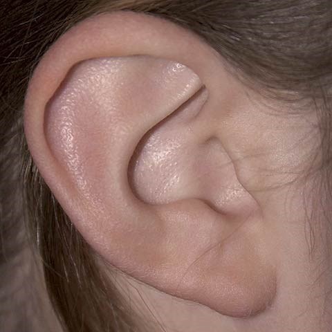 8 'diem G' bi mat tren co the chang hinh anh
