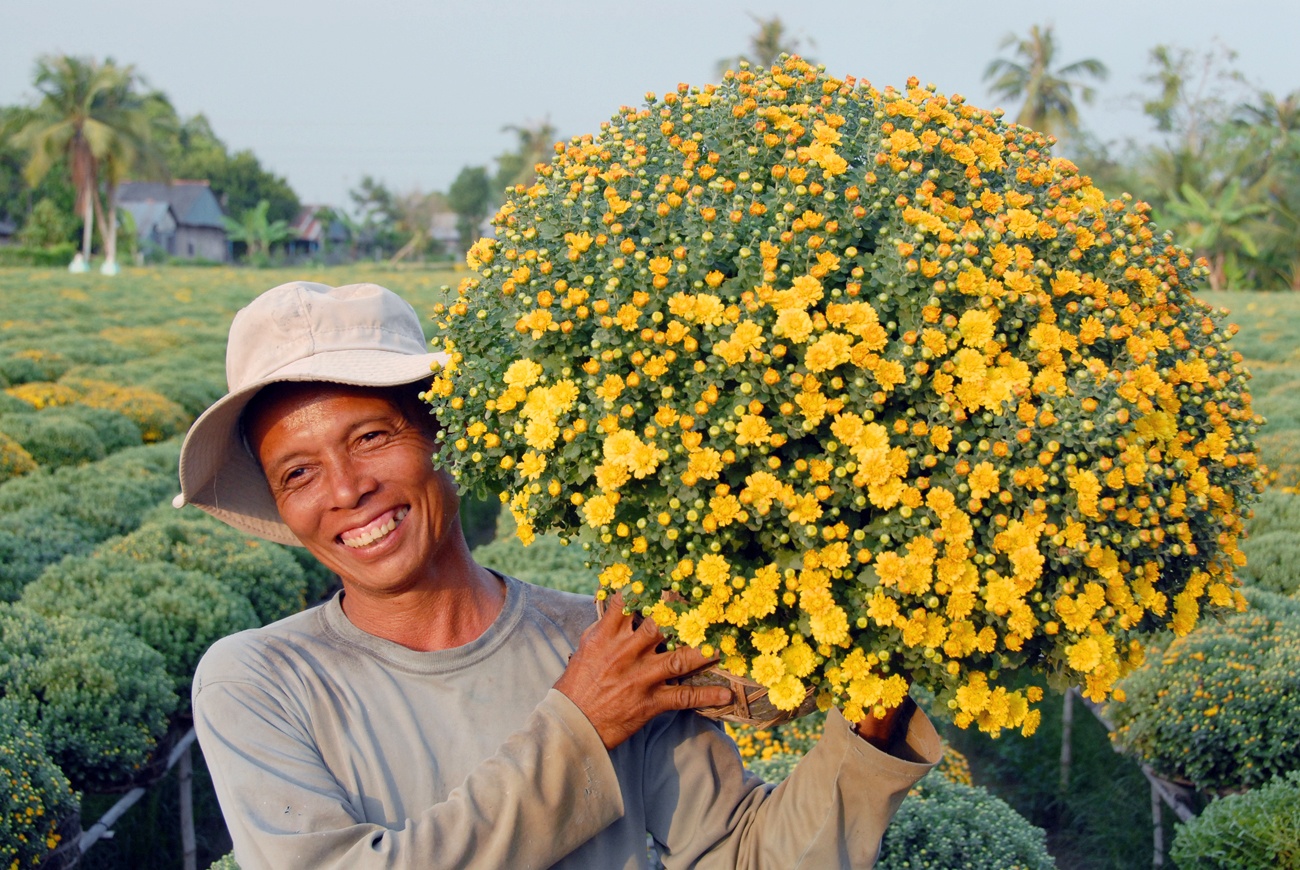 Hoa kieng mien Tay ra cho Tet giua thang chap hinh anh