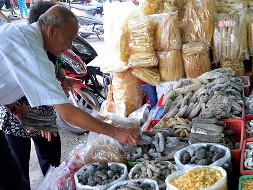 Hai sam: Ngon, bo, tri benh hinh anh