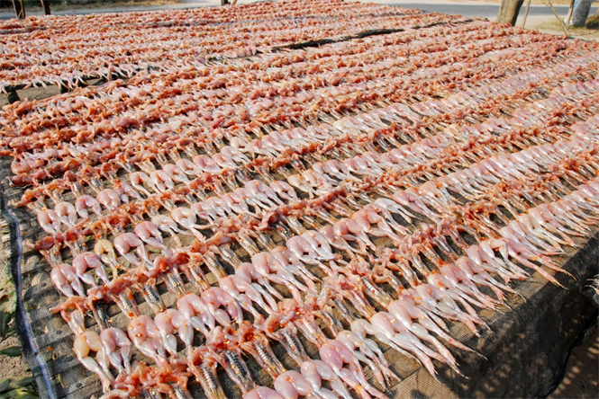 'Vu nu chan dai' hot bac trong mua Tet hinh anh