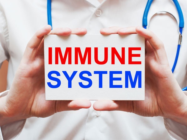 Xây dựng hệ thống miễn dịch: Trong mít chứa nhiều vitamin C giúp bảo vệ bạn khỏi mọi sự nhiễm trùng. Hơn nữa, ăn mít còn giúp bạn giảm thiểu nguy cơ về máu trắng.