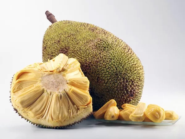 15 loi ich cua trai mit ma ban khong ngo toi hinh anh