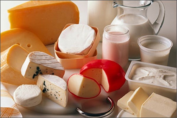 Chúng cung cấp các vi khuẩn có lợi cho đường ruột, đó là những vi khuẩn trong dạ dày. Nếu mất đi những vi khuẩn này có thể dẫn đến viêm hay ruột thấm, béo phì, bệnh và các vấn đề sức khỏe tâm thần khác.