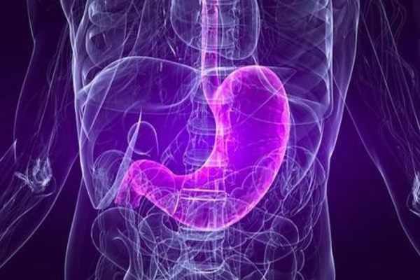 6. Dạ dày tái sinh hai lần một tuần. Có bao giờ bạn tự hỏi, tại sao dạ dày không tiêu hóa chính nó? Dạ dày hoạt động bằng cách giữ lại các chất đường, dinh dưỡng thiết yếu để tránh bị axit phân hủy rồi sau đó trung hòa các chất này và chuyển tới trực tràng.