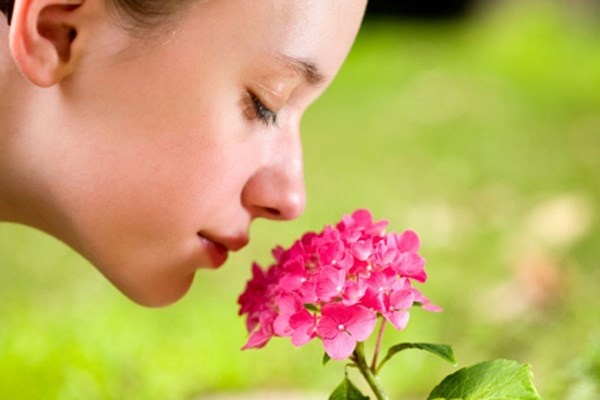 2. Khả năng ngửi mùi phi thường. Nếm và ngửi không chỉ là hoạt động của riêng mặt và mũi. Hàng thập kỷ qua, các nhà khoa học đã chỉ ra rằng tất cả những bộ phận trên cơ thể như thận, tim, xương sống, cơ quan hô hấp hay thậm chí các tế bào máu đều thực hiện những chức năng trên.